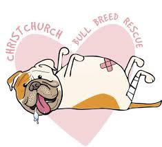 Christchurch Bull Breed Rescue